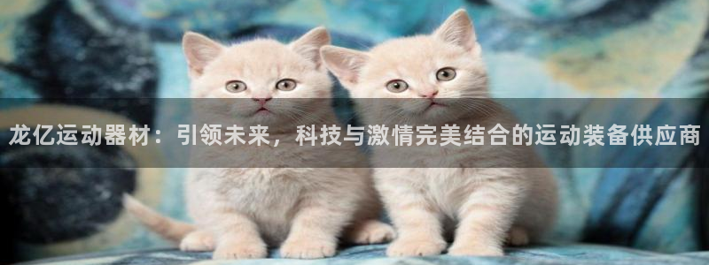 熊猫体育官网下载开户：龙亿运动器材：引领未来，科技与
